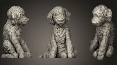 3D model Labradoodle Puppy (STL)